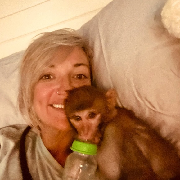 Meet your Posher, Posh - Picture 1 of 2